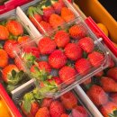 주니청과 이미지