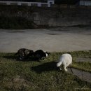 선바우 집 이미지