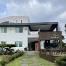 달숲하우스 | [제주도 게스트하우스] 협재해수욕장 달숲게스트하우스 방문후기