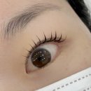 아끌린 | 유지력 좋은 구미 속눈썹 아끌린