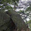 청계산 정상 찍고 왔어요 이미지