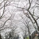 가탄교 입구 이미지