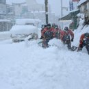 팔덕면사무소 이미지