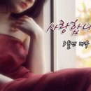 참사랑 안경 Daum카페