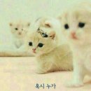 안녕하세요