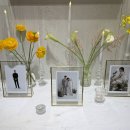 계정축사 | W.20 아이폰스냅 | "소프트보울 스냅" 본식 후기 (아이폰스냅 추천, 노발대본식)