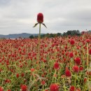 소백산생고기식당 이미지