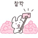 단양보건소 건너편 이미지