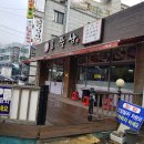 오고집쭈삼 티스토리