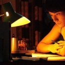 노르웨이의 숲 이미지