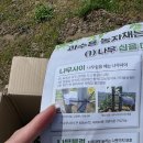 대호농장 | 사과 묘목 고정의 끝판왕! 농협 '나무사이' 사용기, 내돈내산 (부드러운 고정 끈이 핵심)