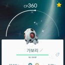 가보리 이미지