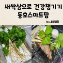 동호팜 이미지