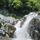 제 151차 정기산행 소똥령 숲길 이미지