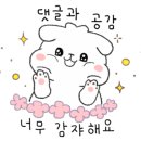 제천자동차종합서비스 이미지