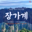 청화여행사
