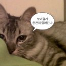 더 코드짐 이미지