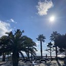 제주도 게스트하우스파티 빅썸 이미지