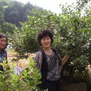 거문골민박 이미지