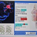 경도협동조합 | 최신 뇌과학 치매 예방의 핵심, BDNF와 아밀로이드 플라크! 김보미 이사장 특강 후기