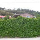 선왕산민박