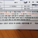 씨혼다이브