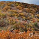 원진개쉼터 이미지