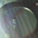 고령차유리 이미지