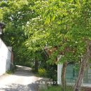 신기리경로당 이미지