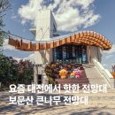 소리나무 | 대전 야경 명소 보문산 큰나무 전망대 후기｜주차·노을·전망 총정리