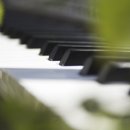 전국학생예능경연대회 이미지