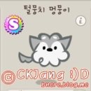 뭉치펫 이미지