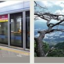 서운체육공원 (계양체육관) 이미지