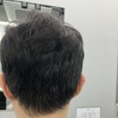 맨즈헤어 231