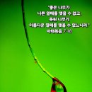 고향시계