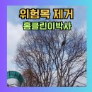 율면농장 | 전깃줄에 걸린 나무 가지치기 전기선 위험목 해결