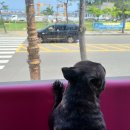 스파트리송정 이미지