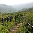 무주화원 이미지