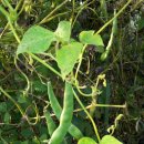 향수농장 이미지