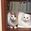 차철주경희한의원 이미지