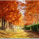 진주(부산) 이미지