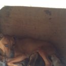 연평농장 이미지