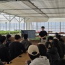 경영농장 | 1차 벤치마킹 농대생이 키운 딸기농장 방문 후기