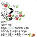 죽암대추농원