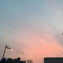 하늘중앙로약국 이미지