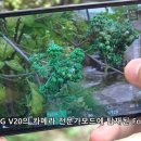 맴버쉽카메라