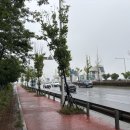 하단동1153 이미지