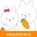 아피노 이미지