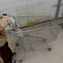 어진로 | 용인 꽃시장 남사화훼단지 후기, 예삐플라워아울렛 꽃 저렴한 곳