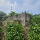 상예동-3 이미지